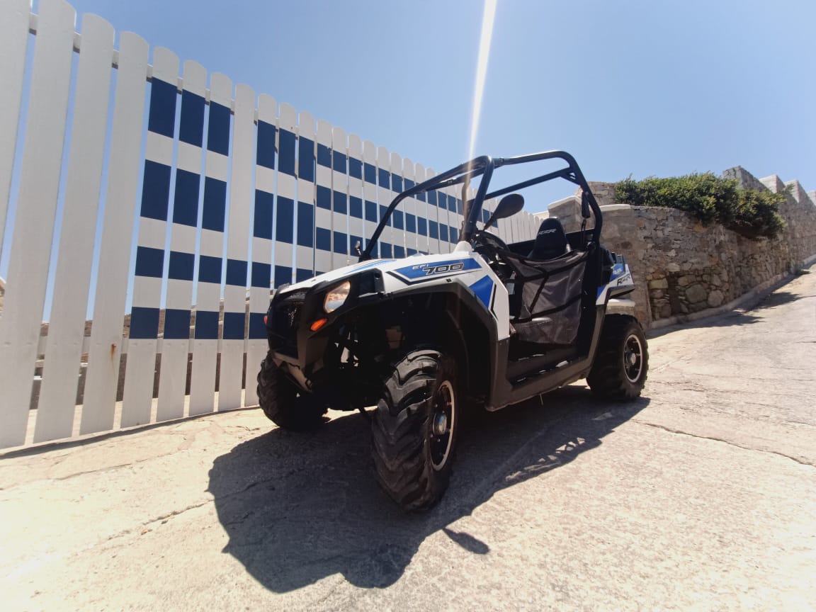 Predator Buggy FX400